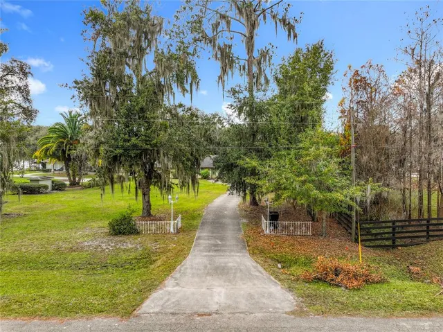 a walkway with trees on sides