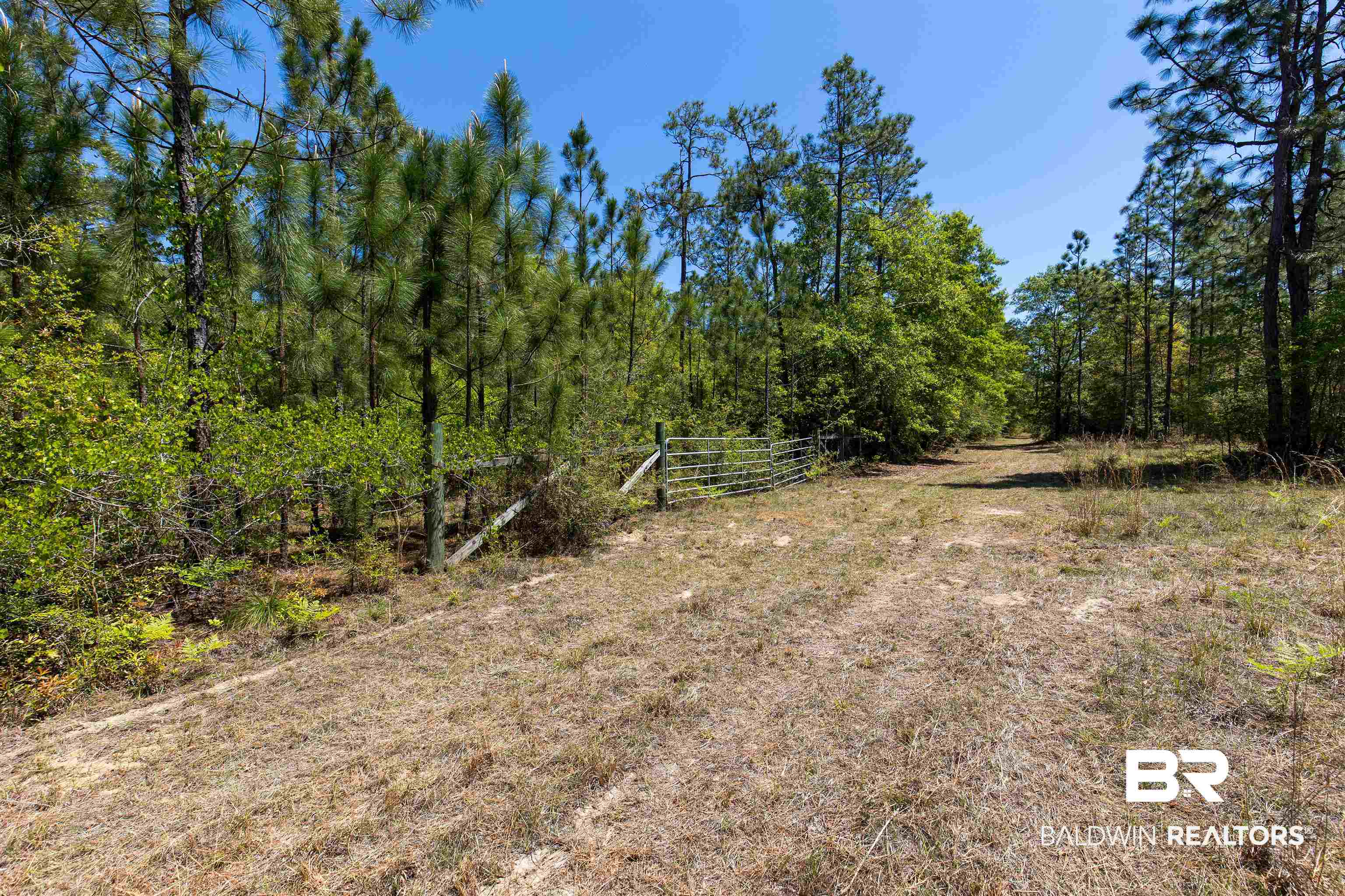 41500 Whitehouse Fork Road Bay Minette, AL 36507 - Photo 3 of 18 View of landscape featuring a wooded view