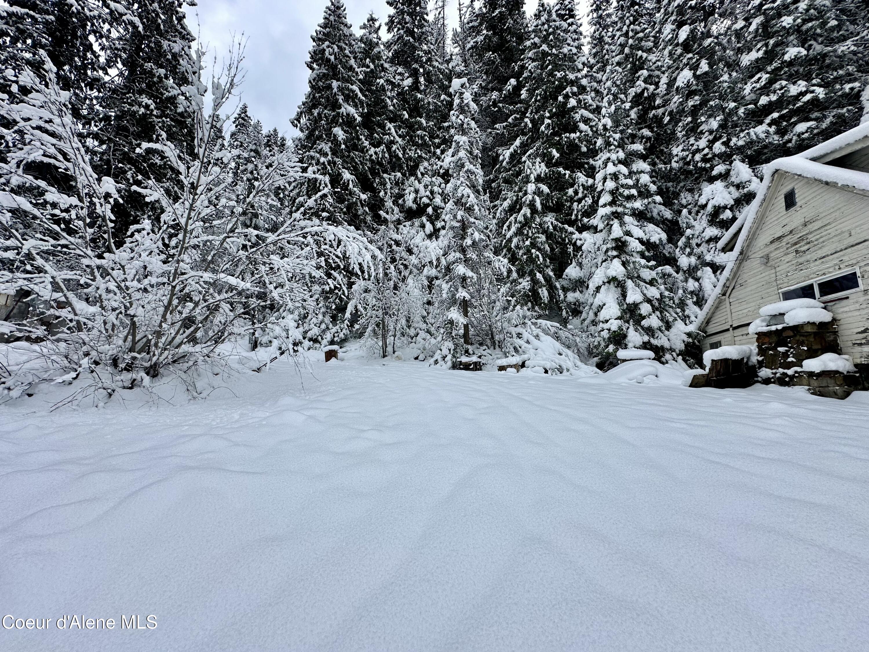 49 Lower Gem Hill Road Wallace, ID 83873 - Photo 6 of 21 6