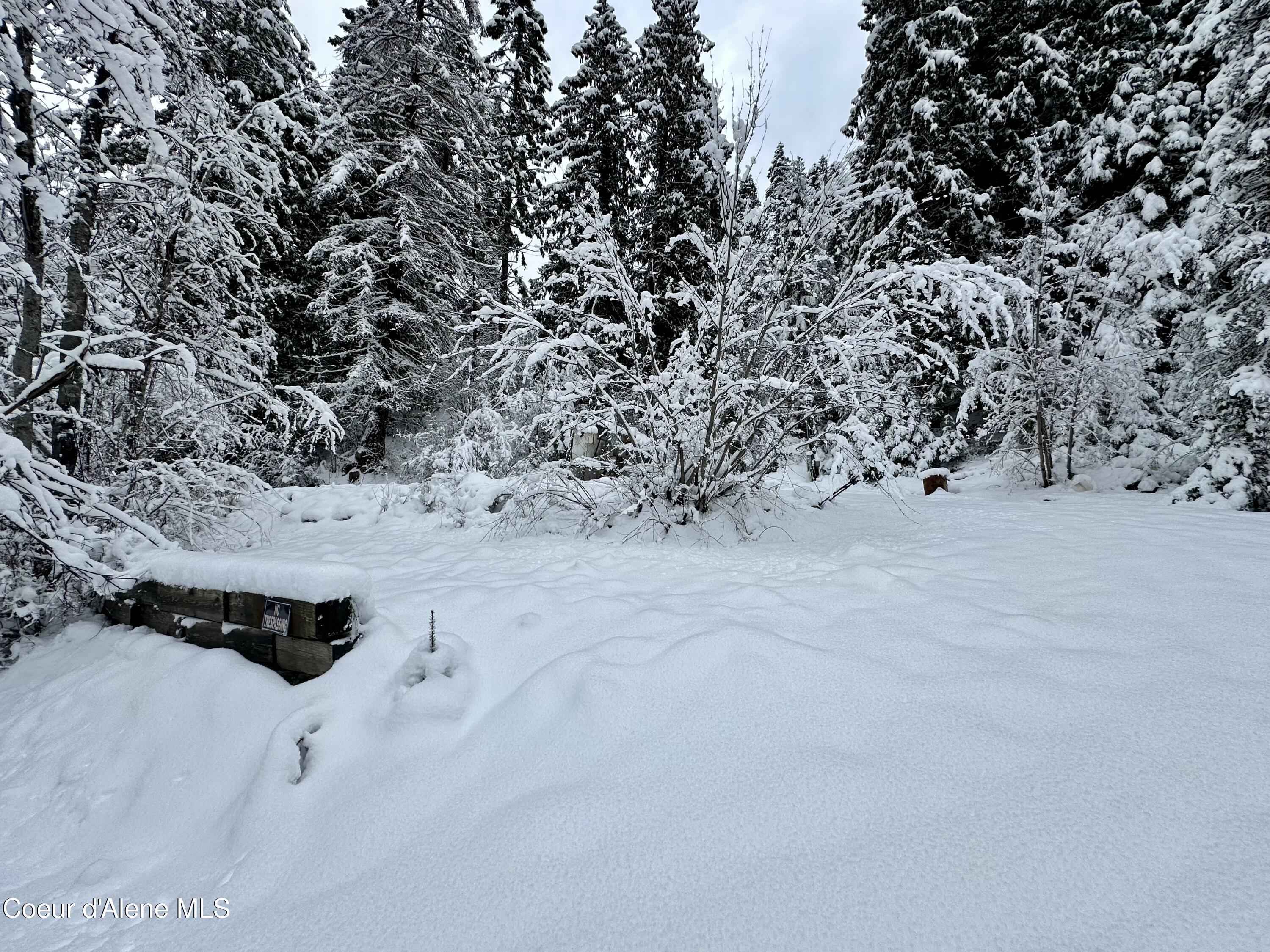 49 Lower Gem Hill Road Wallace, ID 83873 - Photo 7 of 21 7