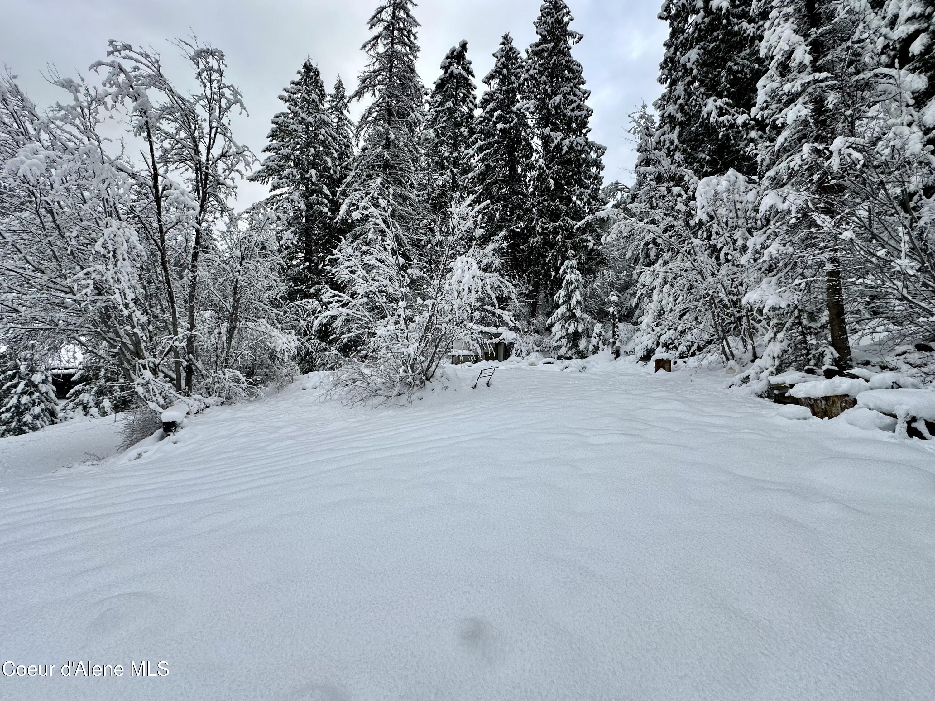 49 Lower Gem Hill Road Wallace, ID 83873 - Photo 8 of 21 8