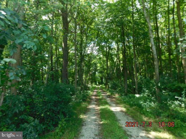 3040 Brantley Road Pocomoke City, MD 21851 - Photo 23 of 25