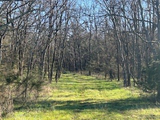 14907 Cainsville Road Lebanon, TN 37090 - Photo 3 of 9