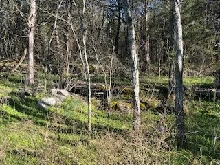 $894,900 | 14907 Cainsville Road, Lebanon, TN 37090