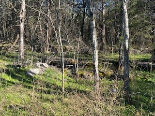 14907 Cainsville Road Lebanon, TN 37090 - Photo 5 of 9