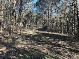 14907 Cainsville Road Lebanon, TN 37090 - Photo 6 of 9