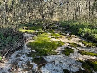 $894,900 | 14907 Cainsville Road, Lebanon, TN 37090