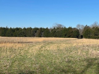 14907 Cainsville Road Lebanon, TN 37090 - Photo 8 of 9