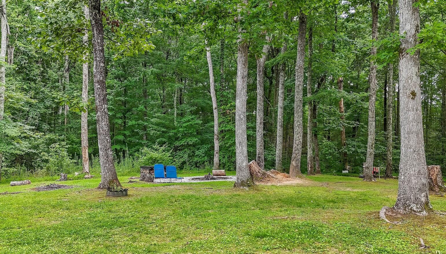 237 Chestnut Ridge Road Spring City, TN 37381 - Photo 77 of 82
