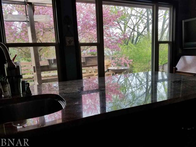 1308 Schroeder Drive Normal, IL 61761 - Photo 54 of 55 a view of a floor to ceiling window and a floor to ceiling window