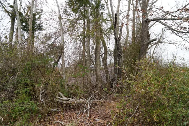 $16,500 | 1225 Tobacco Road, Nathalie, VA 24577