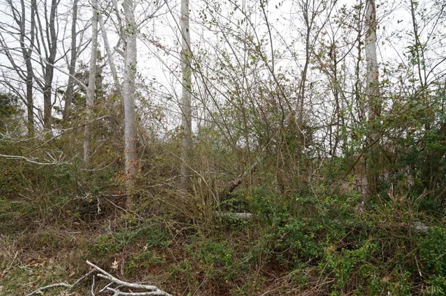 $16,500 | 1225 Tobacco Road, Nathalie, VA 24577