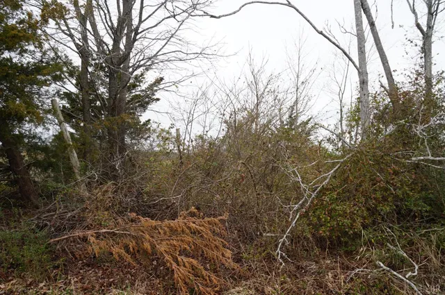 $16,500 | 1225 Tobacco Road, Nathalie, VA 24577