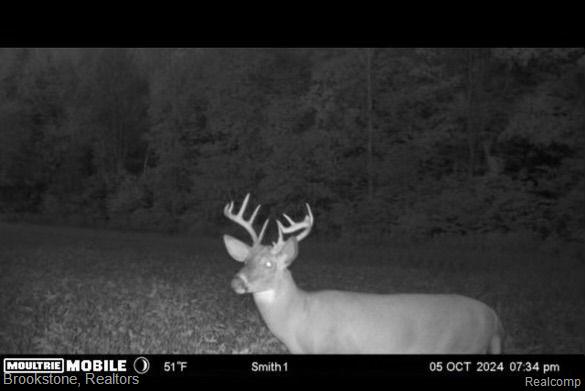 8390 Sparling Road Goodells, MI 48027 - Photo 22 of 25