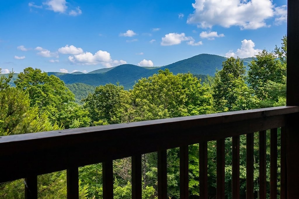 224 Crest Road Blairsville, GA 30512 - Photo 14 of 62