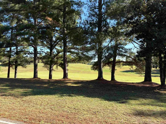a view of swimming pool with a yard