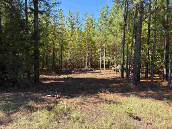 a view of a yard with large trees