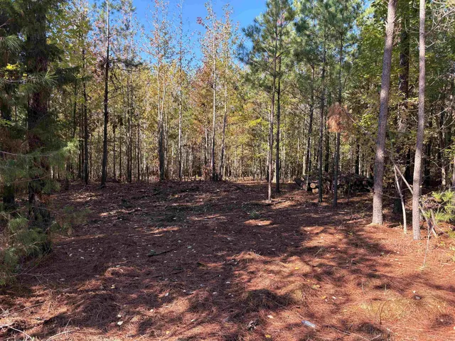 a view of outdoor space with lots of trees