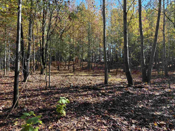 a view of outdoor space with trees