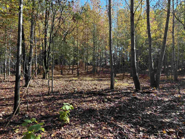 a view of outdoor space with trees