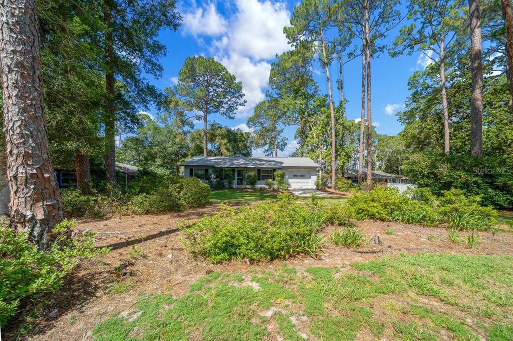 26550 Fishermans Road Paisley, FL 32767 - Photo 6 of 35
