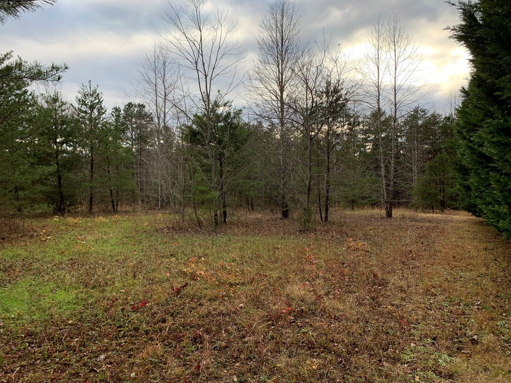Deer Ridge Trail South Boston, VA 24592 - Photo 4 of 10 Gallery Image 4