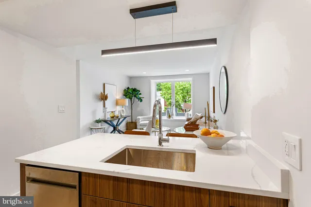a kitchen with a sink and a potted plant