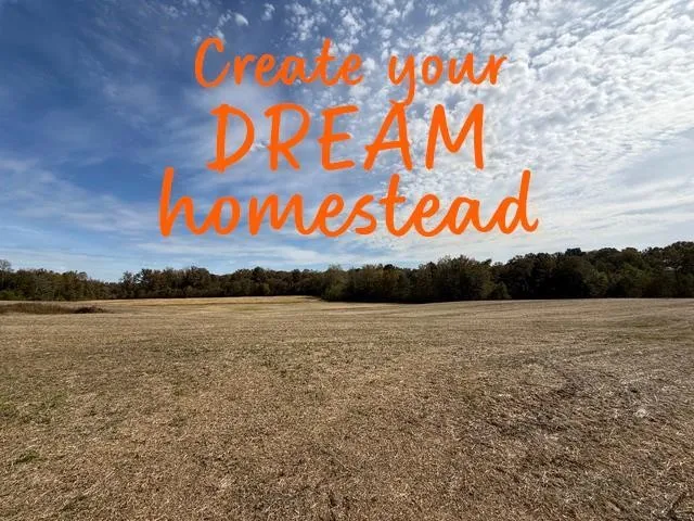 a view of an outdoor space