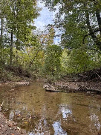 $87,500 | 0 Hwy 77 Paris Tn 38242, Paris, TN 38242