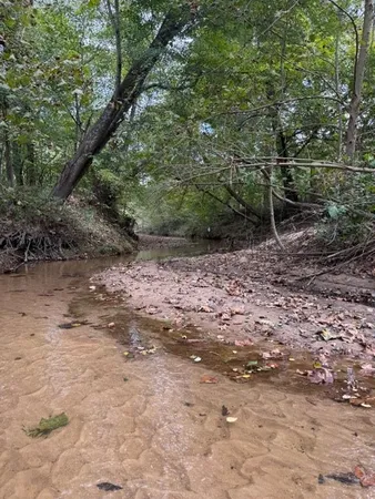 $87,500 | 0 Hwy 77 Paris Tn 38242, Paris, TN 38242