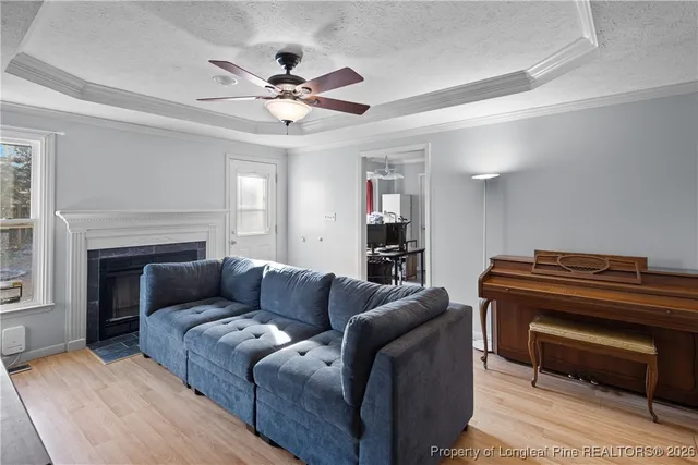 a living room with furniture and a fireplace