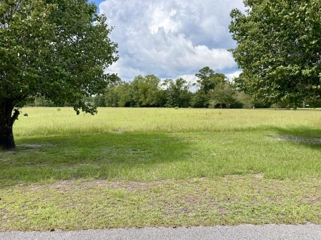 Tbd Holly View Lane Loris, SC 29569 - Photo 1 of 4 Gallery Image 1