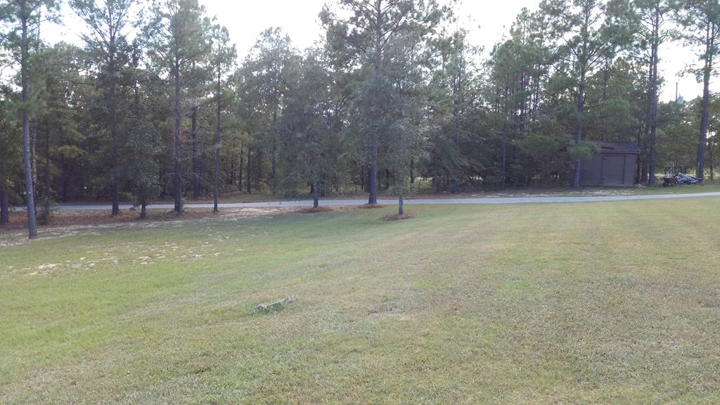 1158 Juniper Mill Pond Road Box Springs, GA 31801 - Photo 24 of 26 Gallery Image 24