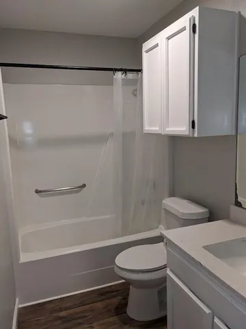 a white toilet sitting next to a bath tub