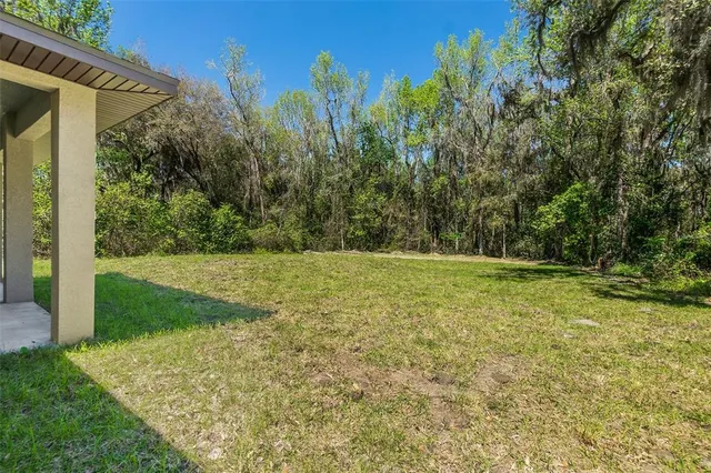 a view of a yard with large trees
