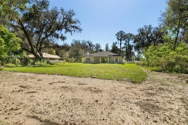 a view of a yard with plants and trees