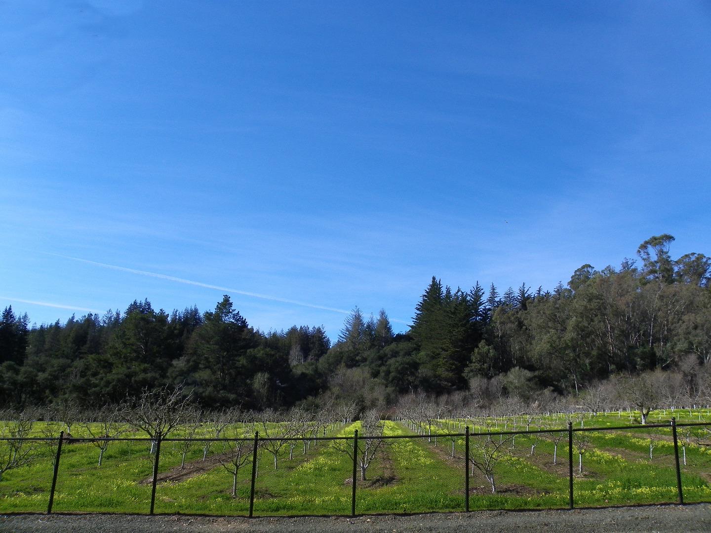 254 Hames Road Corralitos, CA 95076 - Photo 3 of 19 a view of a park
