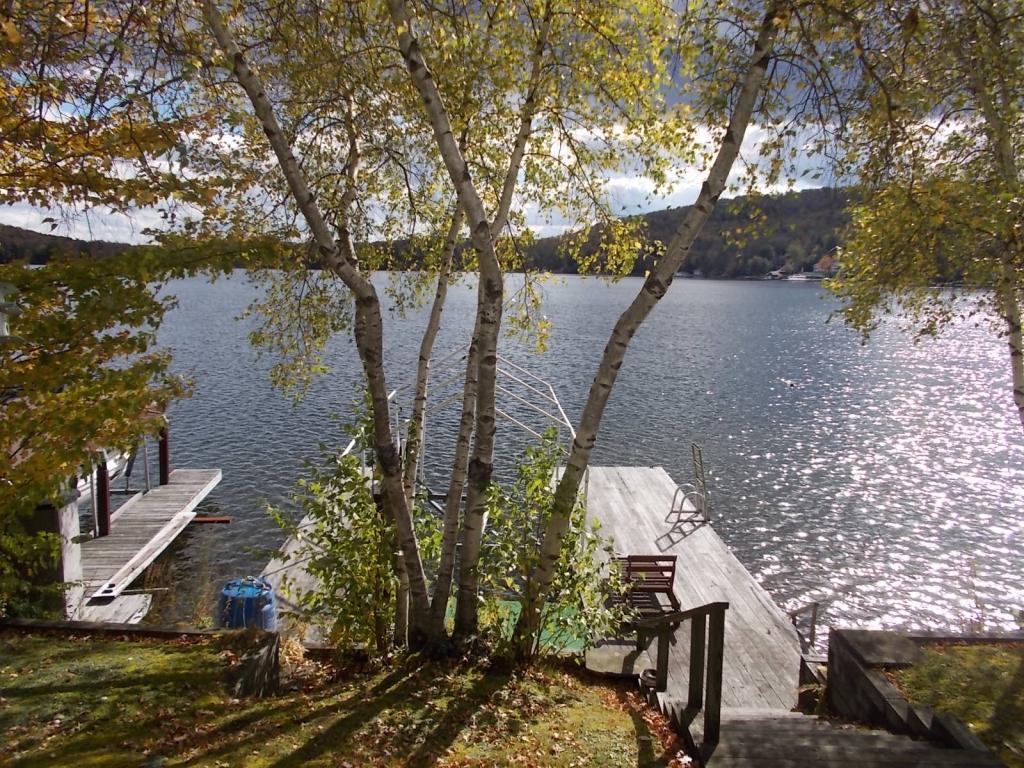 62 Hanson Road Deposit, NY 13754 - Photo 5 of 24 Gallery Image 5