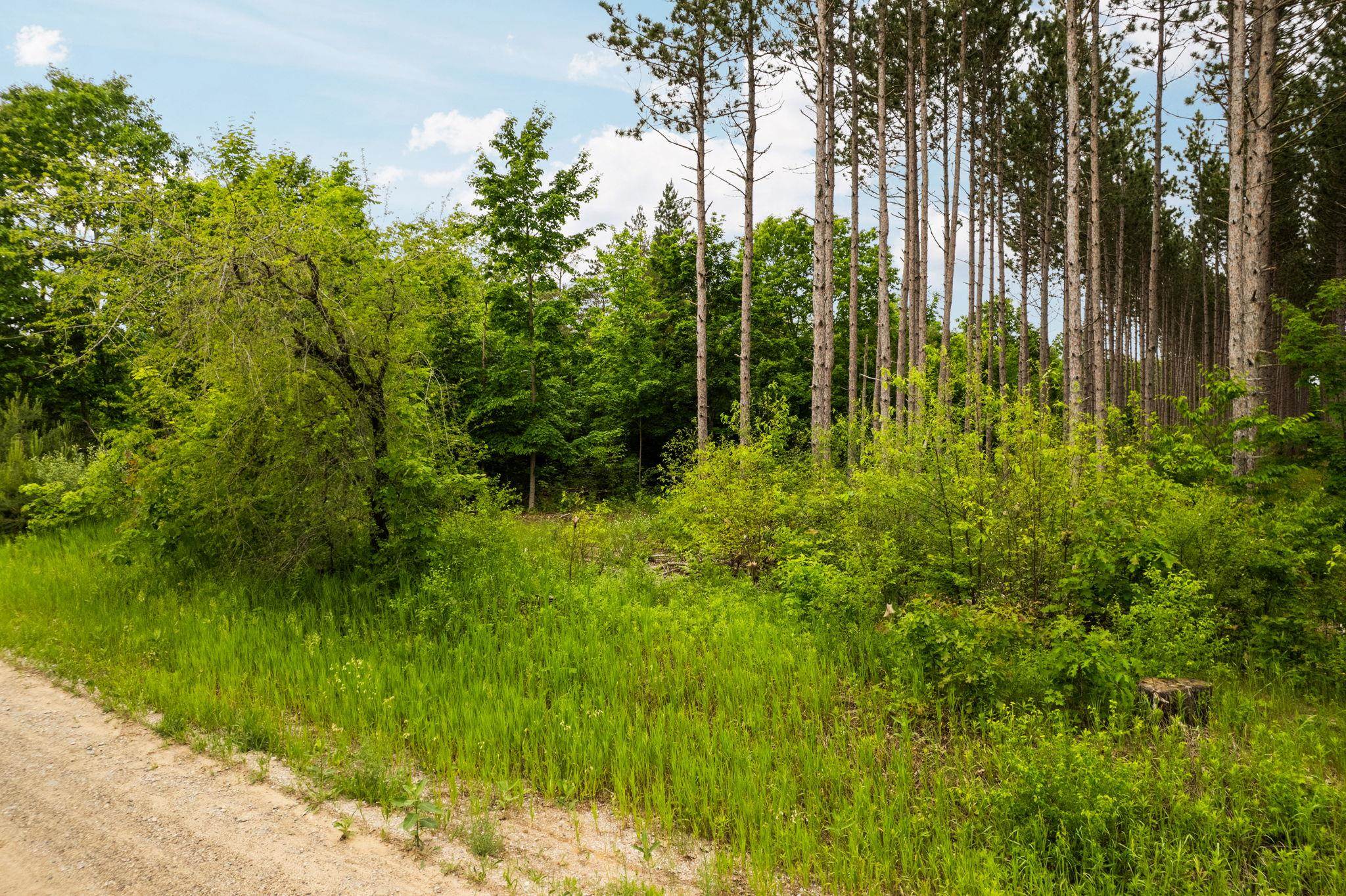 Parcel E St Johns Road Interlochen, MI 49643 - Photo 14 of 39