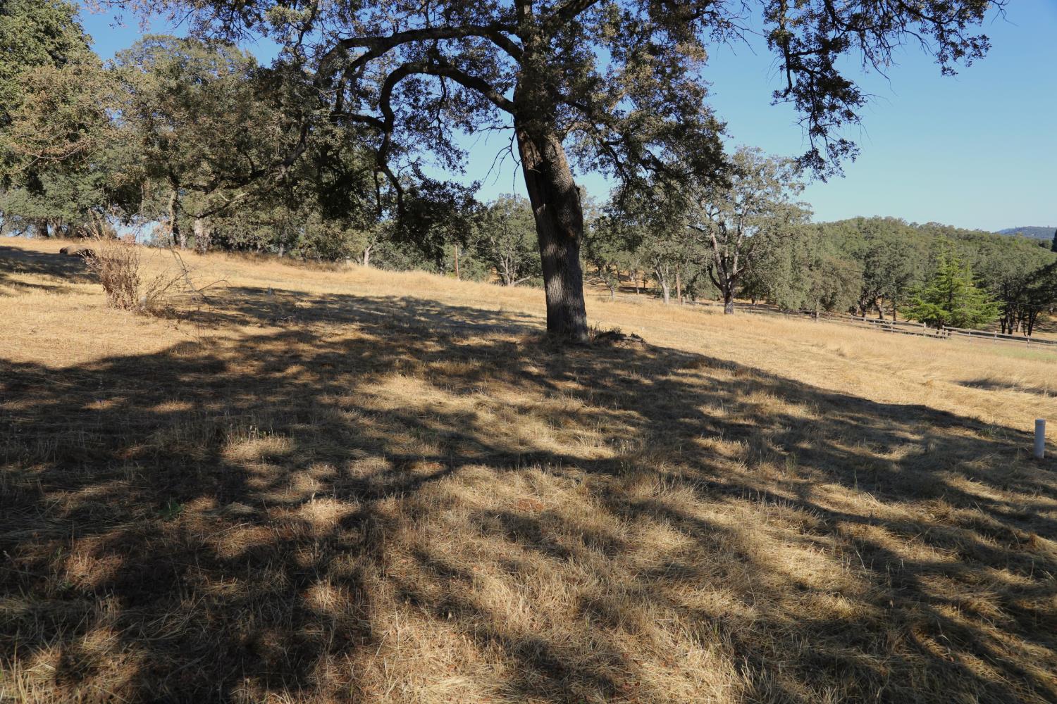 3791 Luneman Road Placerville, CA 95667 - Photo 59 of 66