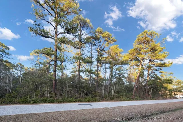 a view of a tree in a yard with a house