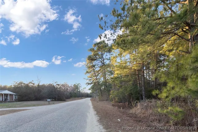 a view of a road with a yard