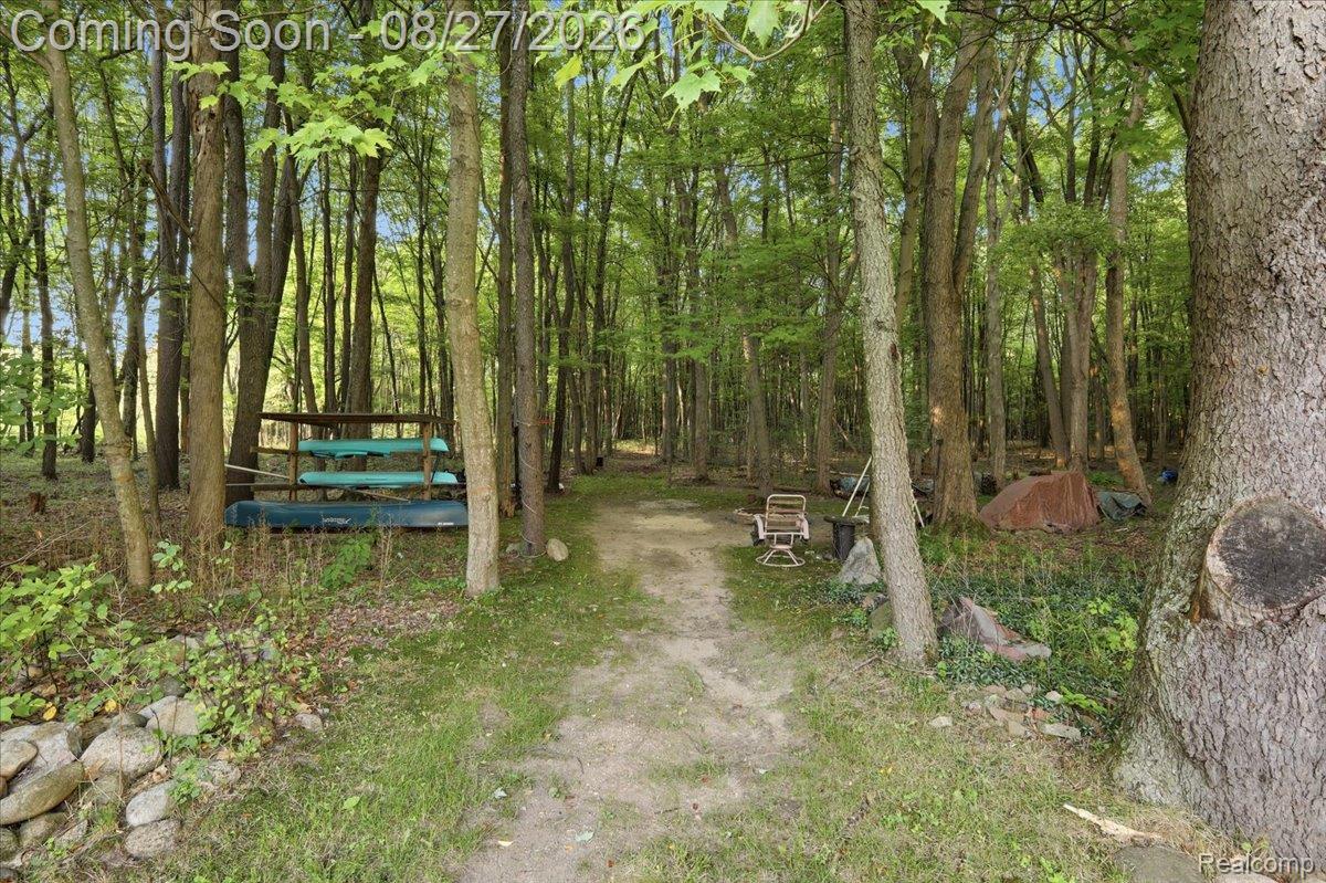 10100 Springtime Circle Clarkston, MI 48348 - Photo 62 of 73 67-IMG_2005.jpg
