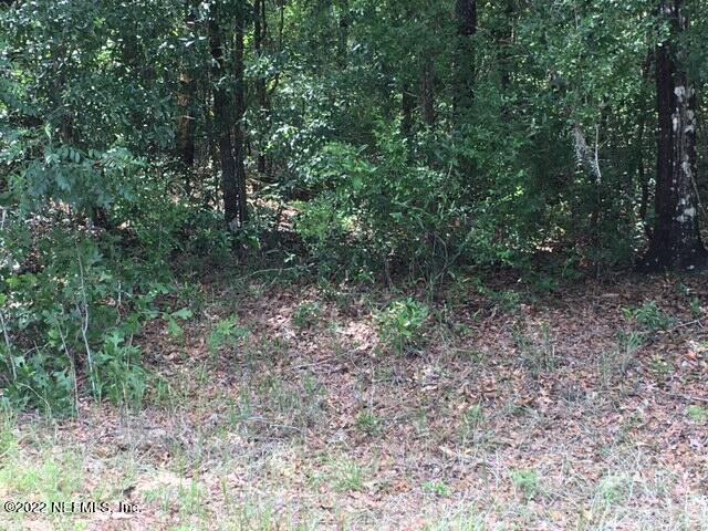 4166 Chokeberry Road Middleburg, FL 32068 - Photo 1 of 3 Chokeberry lot view front