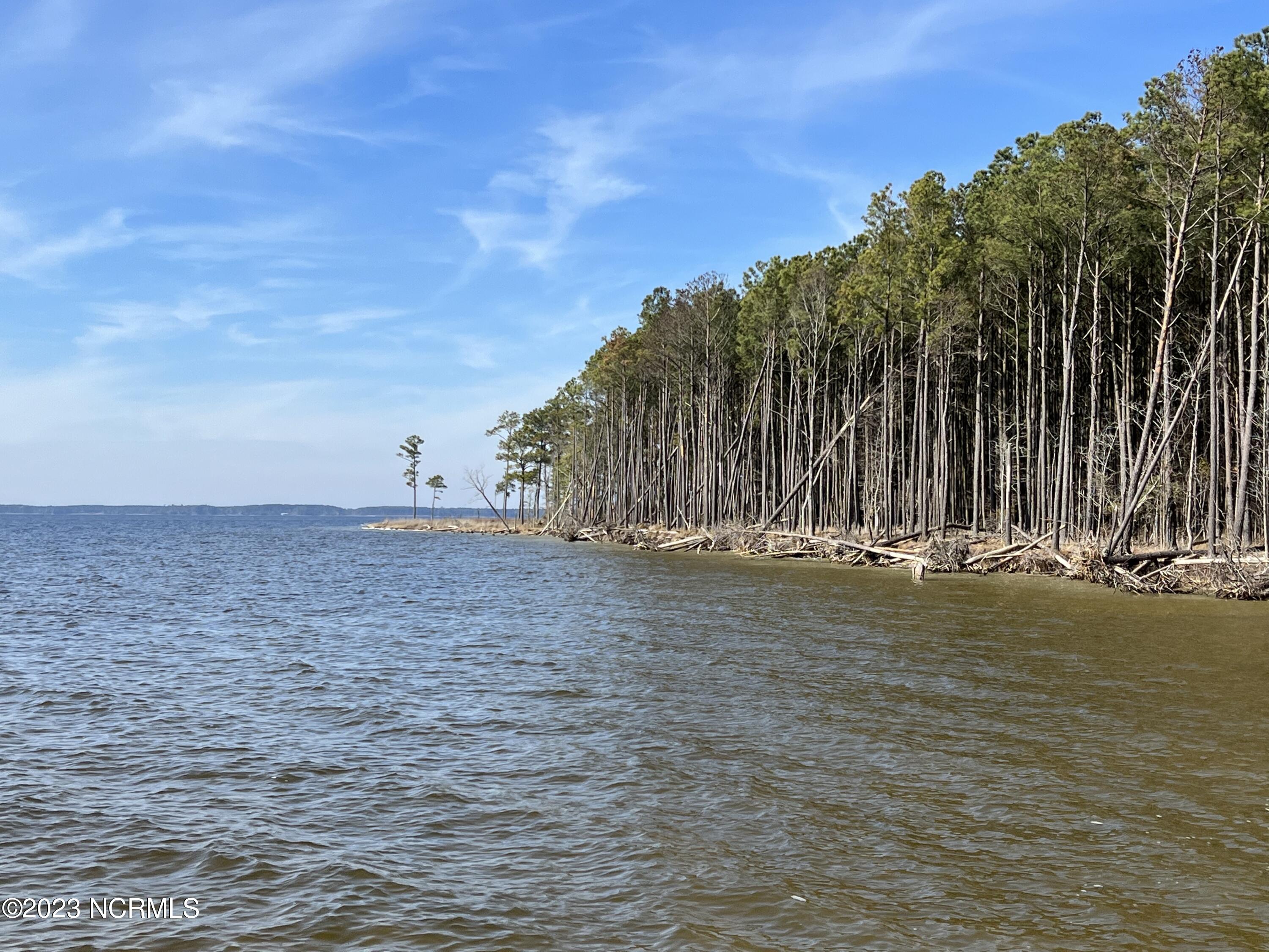 0 Sandy Road Scranton, NC 27875 - Photo 1 of 35 Water Frontage Pungo