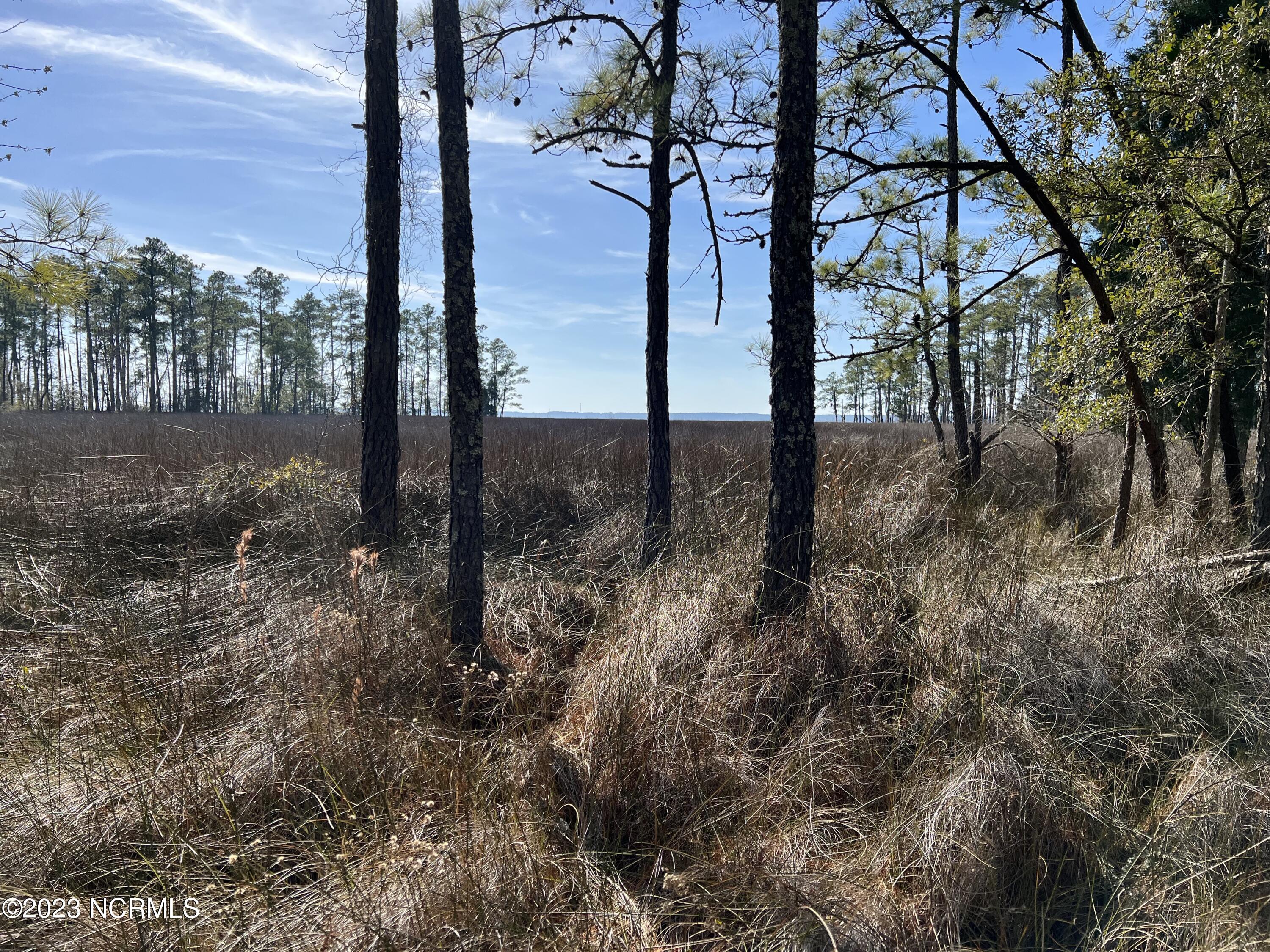 0 Sandy Road Scranton, NC 27875 - Photo 23 of 35 IMG_1526