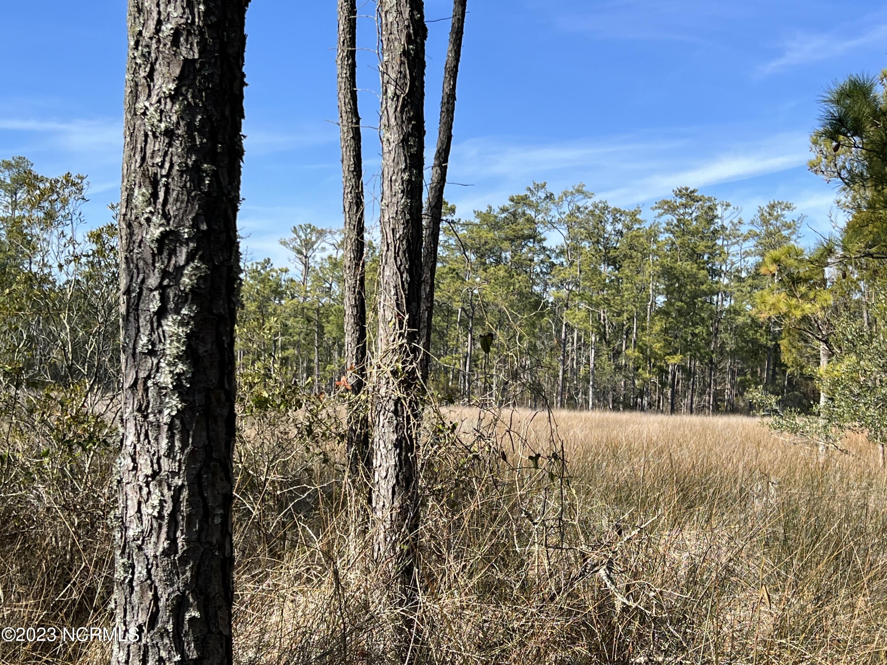 0 Sandy Road Scranton, NC 27875 - Photo 25 of 35 IMG_1528