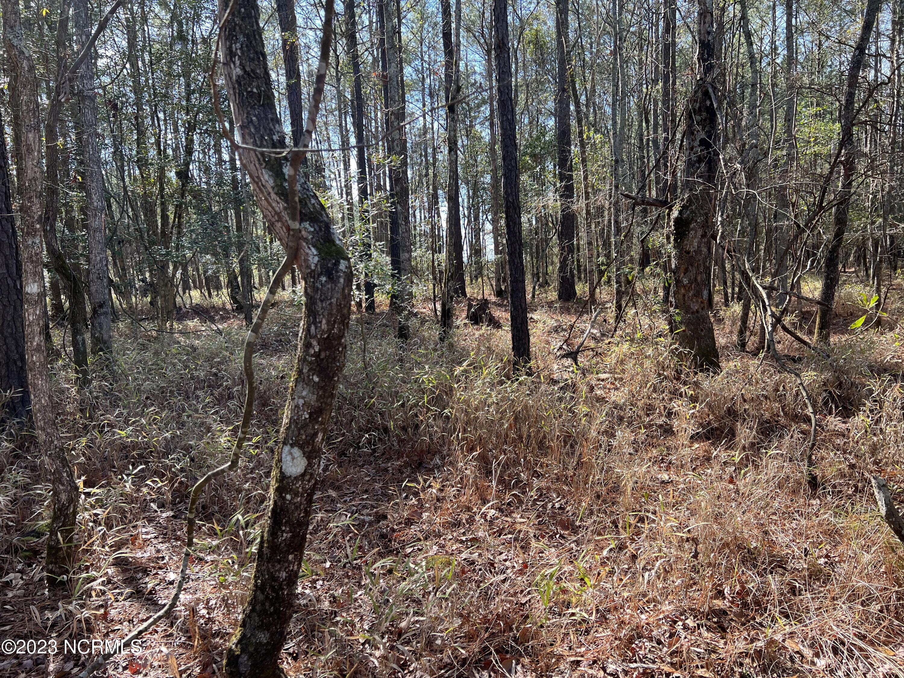 0 Sandy Road Scranton, NC 27875 - Photo 27 of 35 IMG_1532