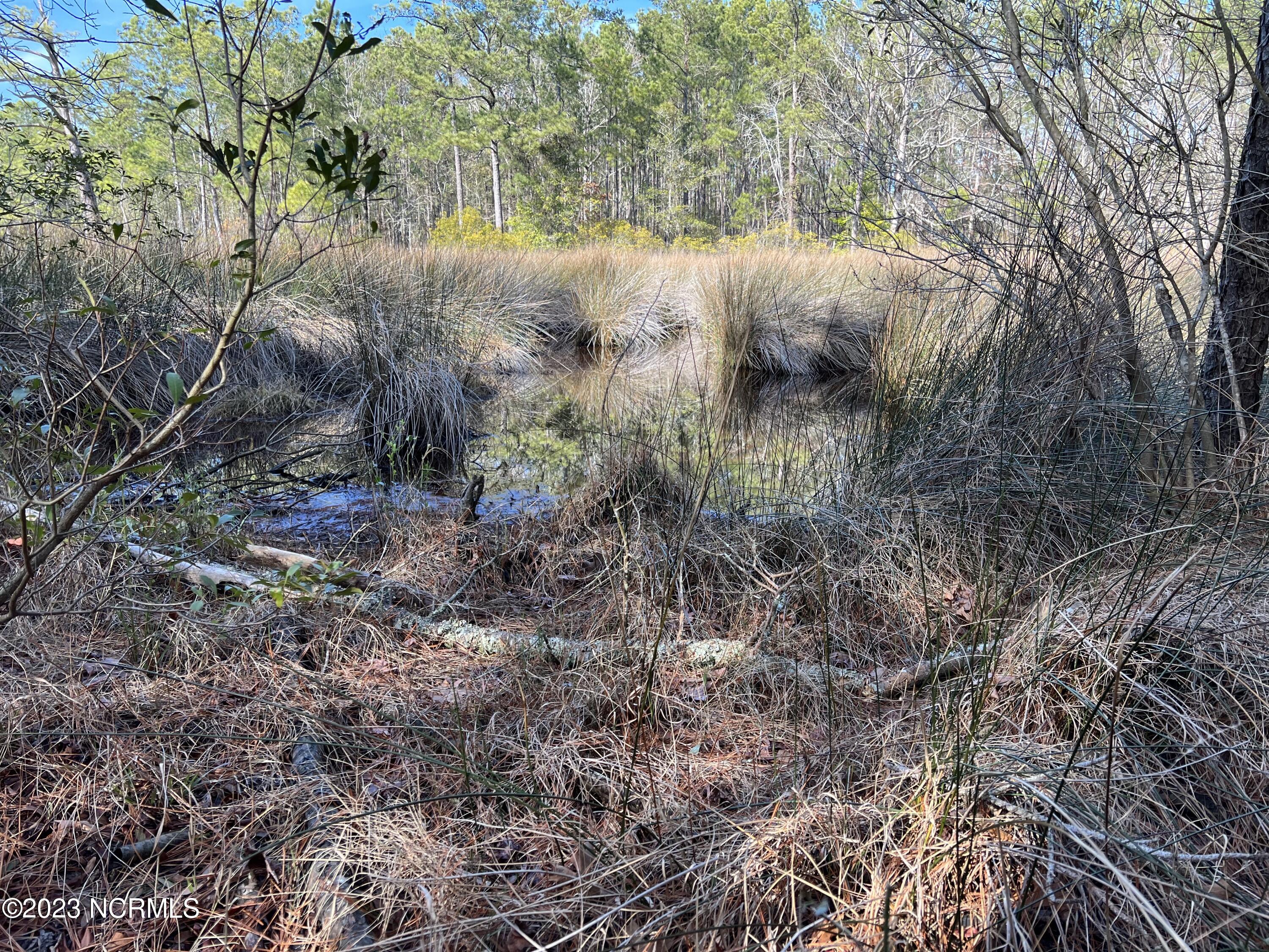 0 Sandy Road Scranton, NC 27875 - Photo 29 of 35 IMG_1530