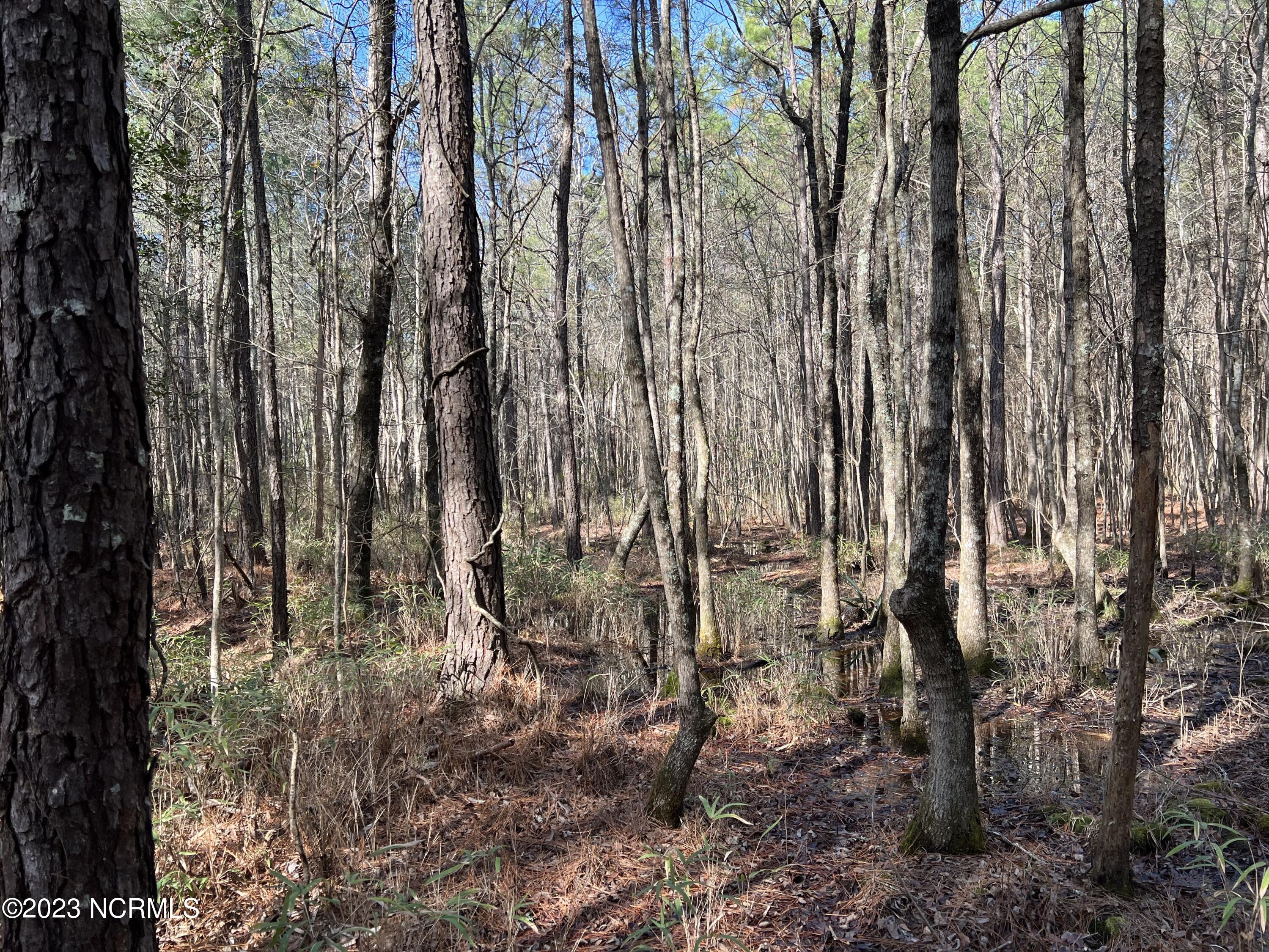 0 Sandy Road Scranton, NC 27875 - Photo 10 of 35 IMG_1507